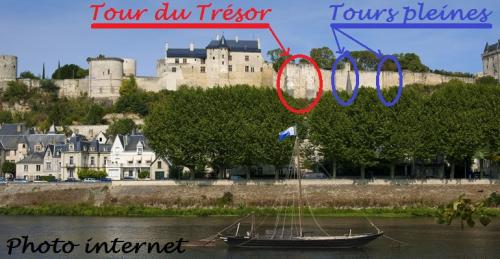 La forteresse de Chinon vue de la Vienne.( Photo internet)