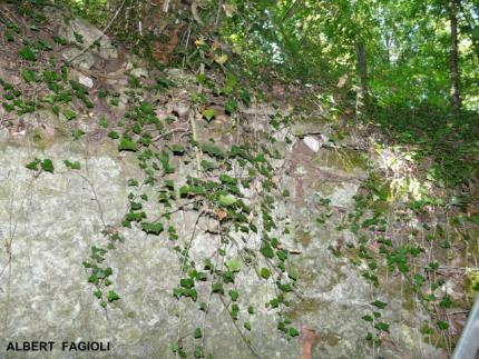 Le trou du Fundenhoff, le lundi 19 juillet 2010. ( vue de l'intérieur) (Albert Fagioli)