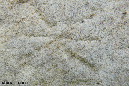 L'un des signes des templiers de la chapelle de Rinting.  (08 juin 2010)
